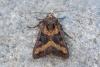 224980 – Photo : Johan Verstraeten – Espagne